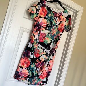 Pinkblush Floral Maternity Dress